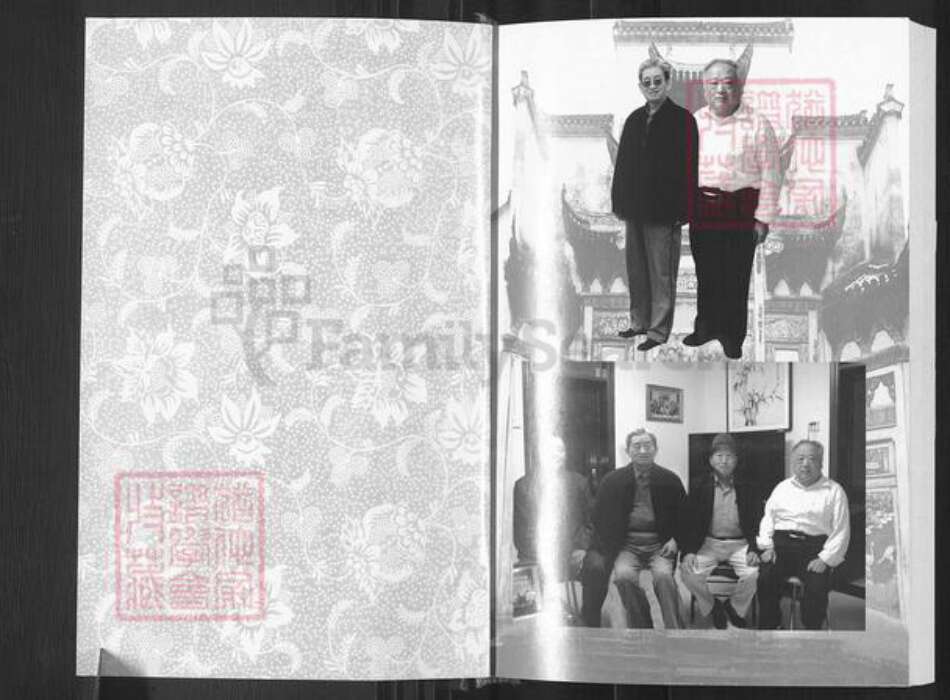 河南省平顶山郏县堂街镇魏氏族谱-魏氏家谱.pdf电子版预览图3