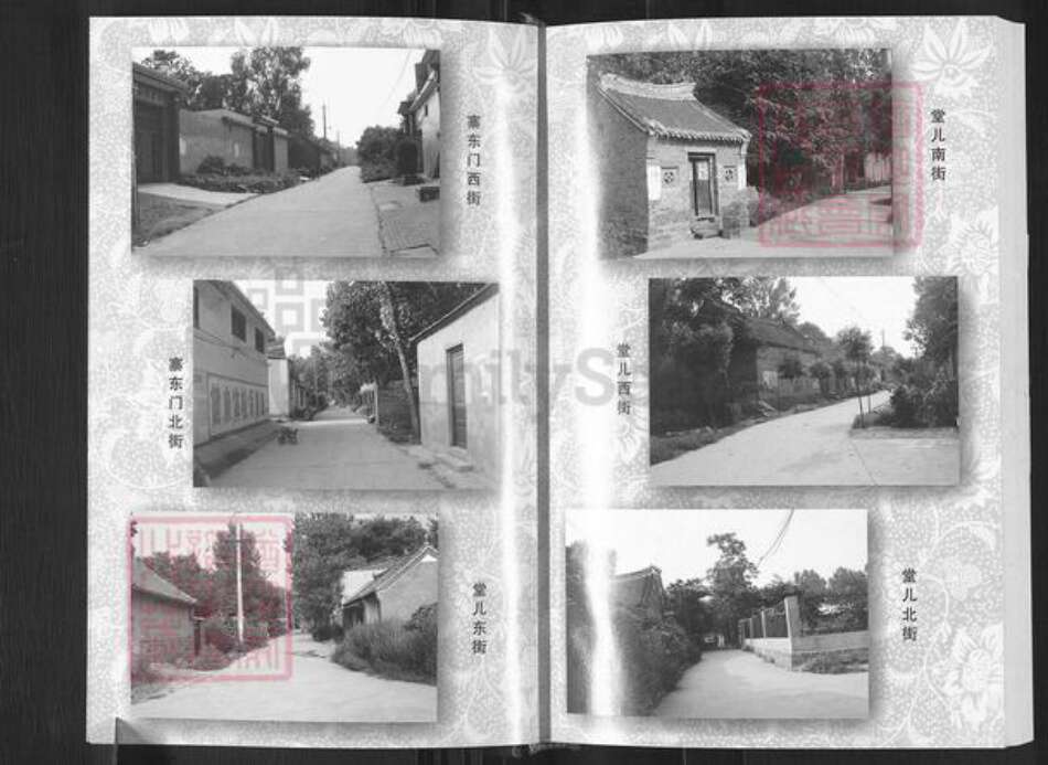 河南省平顶山郏县堂街镇魏氏族谱-魏氏家谱.pdf电子版预览图5