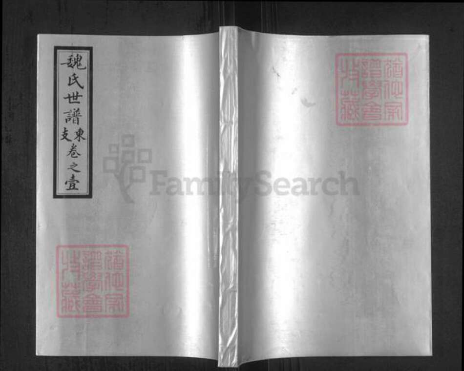 山东省淄博市高青县唐坊镇魏氏万裔堂族谱-魏氏世谱.东支.pdf电子版缩略图