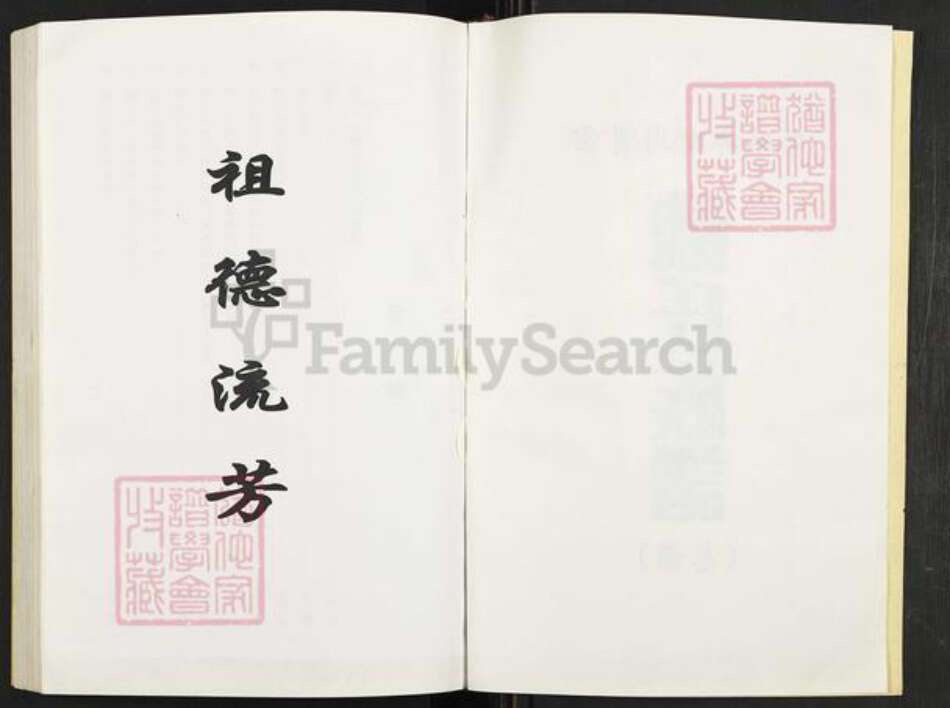 四川省泸州市叙永县麻城镇魏氏族谱-云贵川毗邻地区魏氏族谱(总谱).pdf电子版预览图2