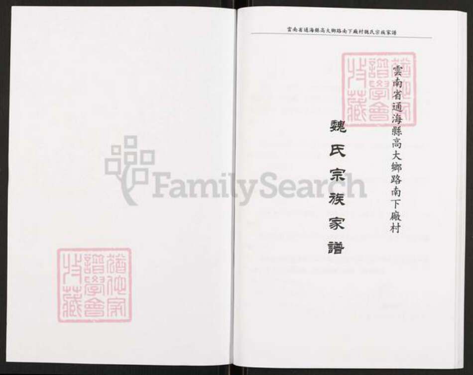 云南省玉溪市通海县高大傣族彝族乡魏氏族谱-魏氏宗族家谱.pdf电子版预览图1