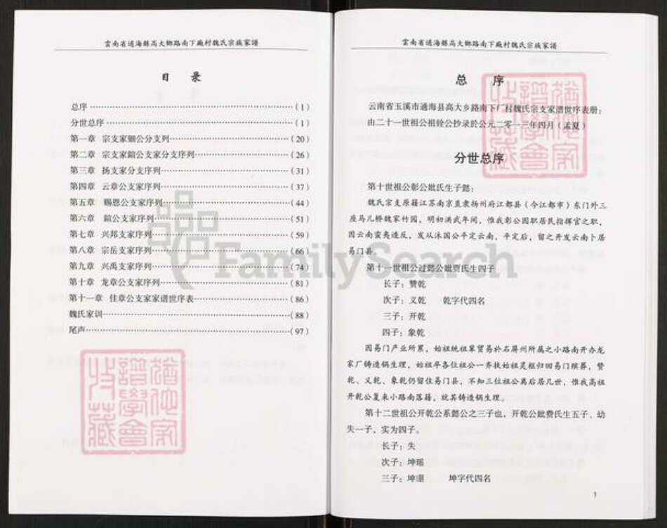 云南省玉溪市通海县高大傣族彝族乡魏氏族谱-魏氏宗族家谱.pdf电子版预览图3