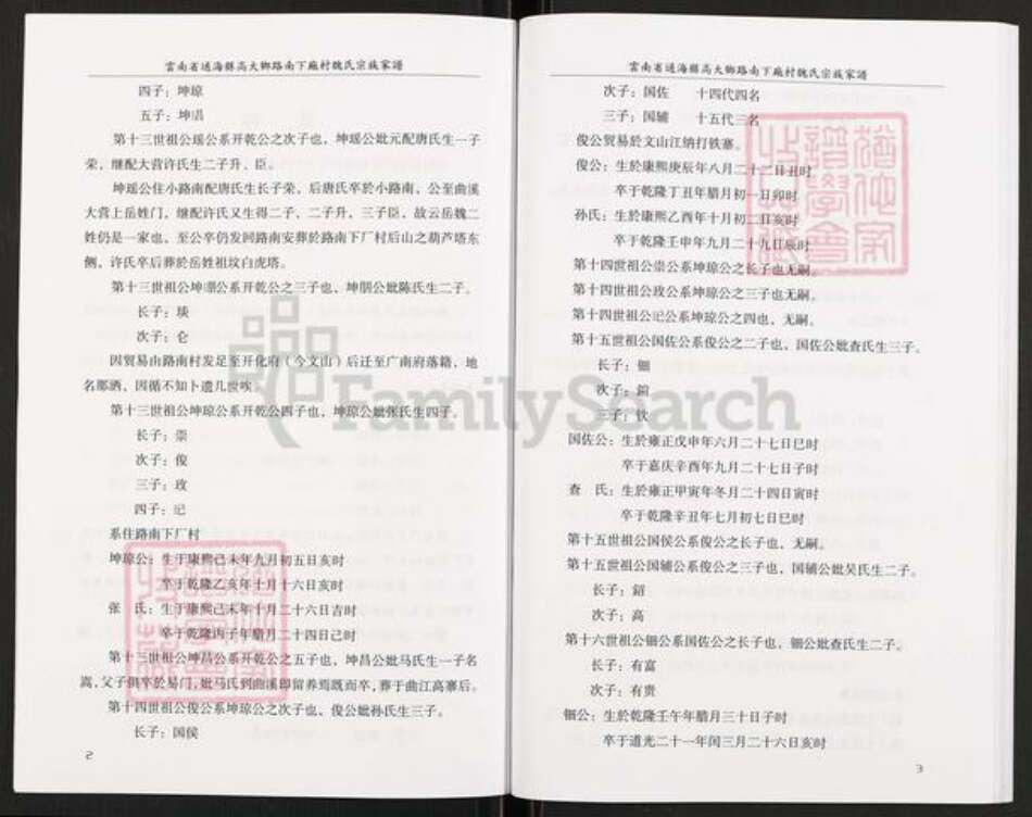 云南省玉溪市通海县高大傣族彝族乡魏氏族谱-魏氏宗族家谱.pdf电子版预览图4