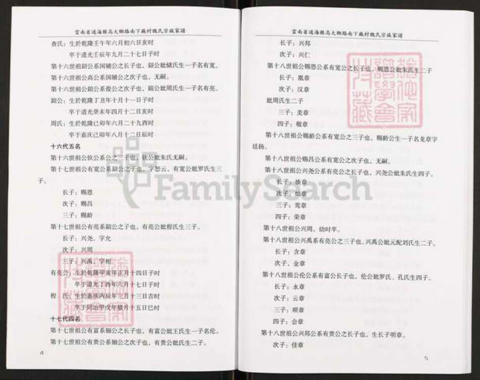 云南省玉溪市通海县高大傣族彝族乡魏氏族谱-魏氏宗族家谱.pdf电子版预览图5