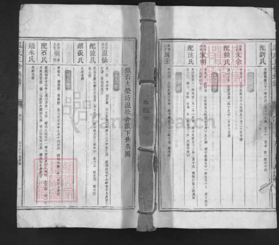 广东省深圳市温氏族谱-温氏三修族谱.pdf电子版缩略图