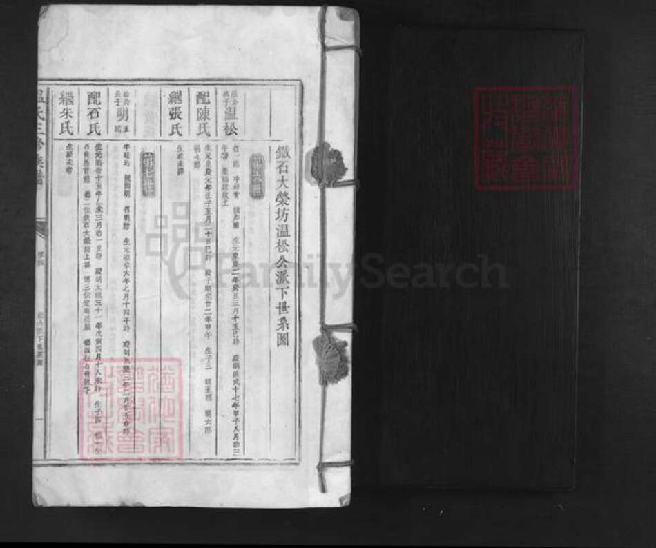 广东省深圳市温氏族谱-温氏三修族谱.pdf电子版预览图1