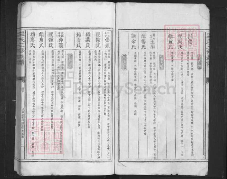 广东省深圳市温氏族谱-温氏三修族谱.pdf电子版预览图2