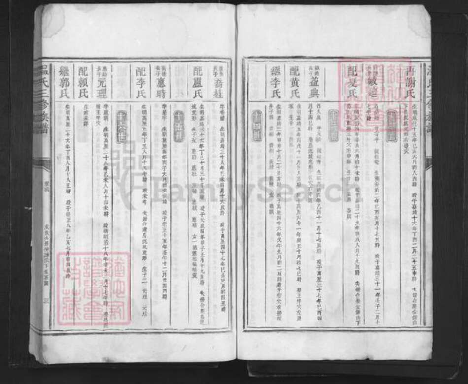 广东省深圳市温氏族谱-温氏三修族谱.pdf电子版预览图3