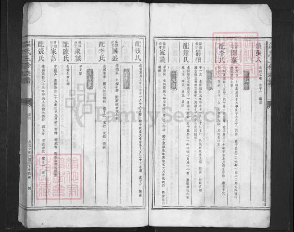 广东省深圳市温氏族谱-温氏三修族谱.pdf电子版预览图4