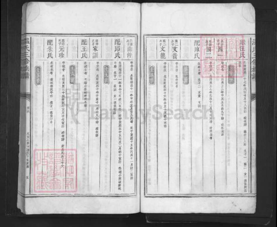 广东省深圳市温氏族谱-温氏三修族谱.pdf电子版预览图5