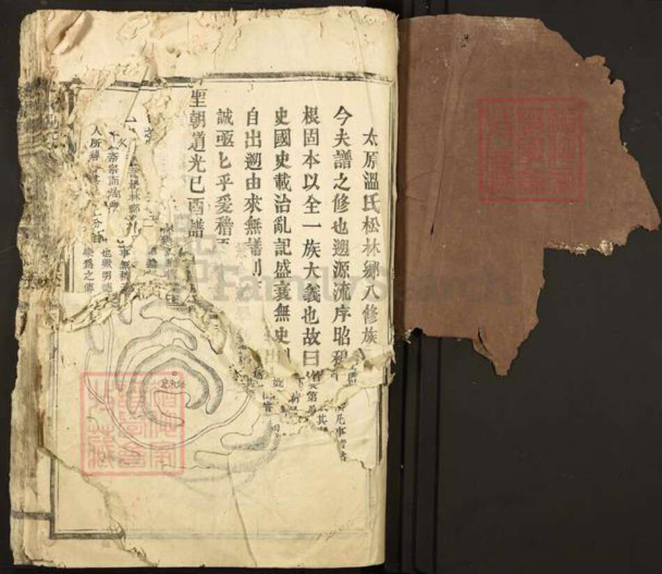 江西省赣州市石城县温氏族谱-太原温氏.pdf电子版预览图1