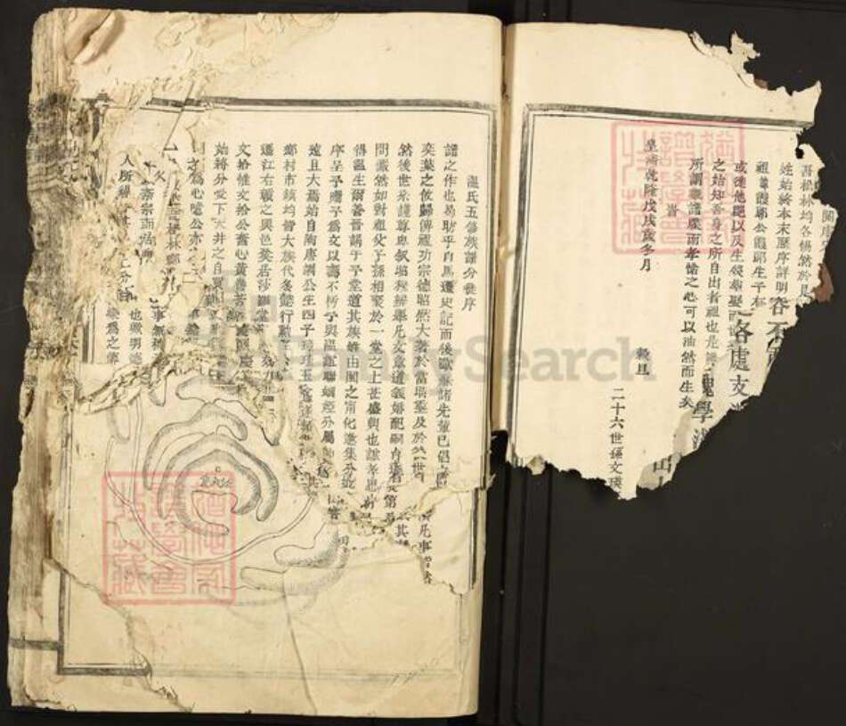 江西省赣州市石城县温氏族谱-太原温氏.pdf电子版预览图5