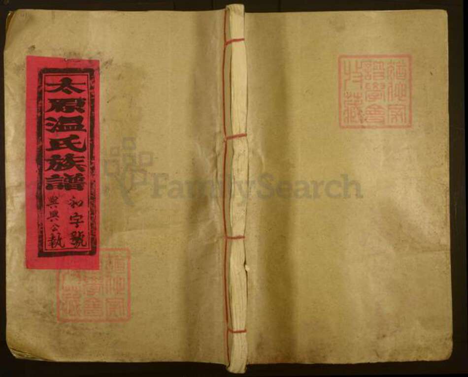 福建省三明市宁化县中沙乡温氏太原堂族谱-宁化太原温氏族谱.pdf电子版缩略图