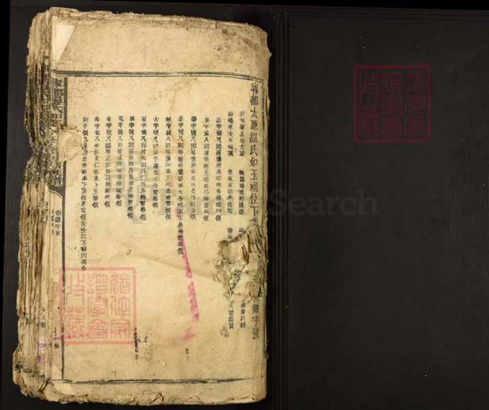 江西省赣州市宁都县温氏族谱-宁都温氏如玉祖合修首届族谱.pdf电子版预览图1