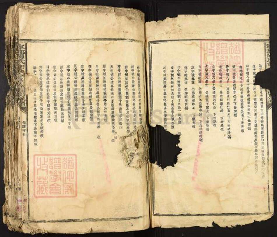 江西省赣州市宁都县温氏族谱-宁都温氏如玉祖合修首届族谱.pdf电子版预览图2