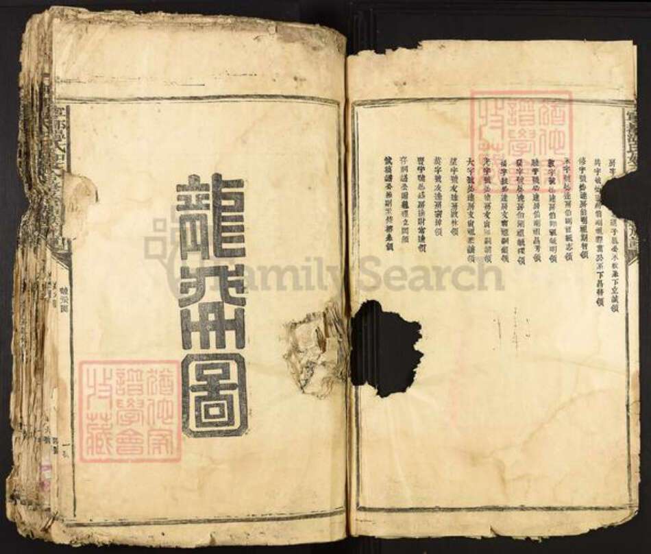 江西省赣州市宁都县温氏族谱-宁都温氏如玉祖合修首届族谱.pdf电子版预览图3