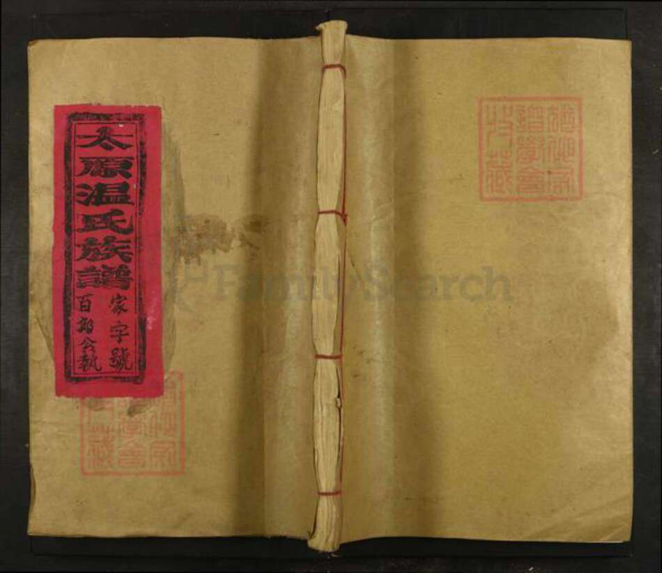 福建省三明市宁化县中沙乡温氏族谱-宁化太原温氏族谱.pdf电子版缩略图