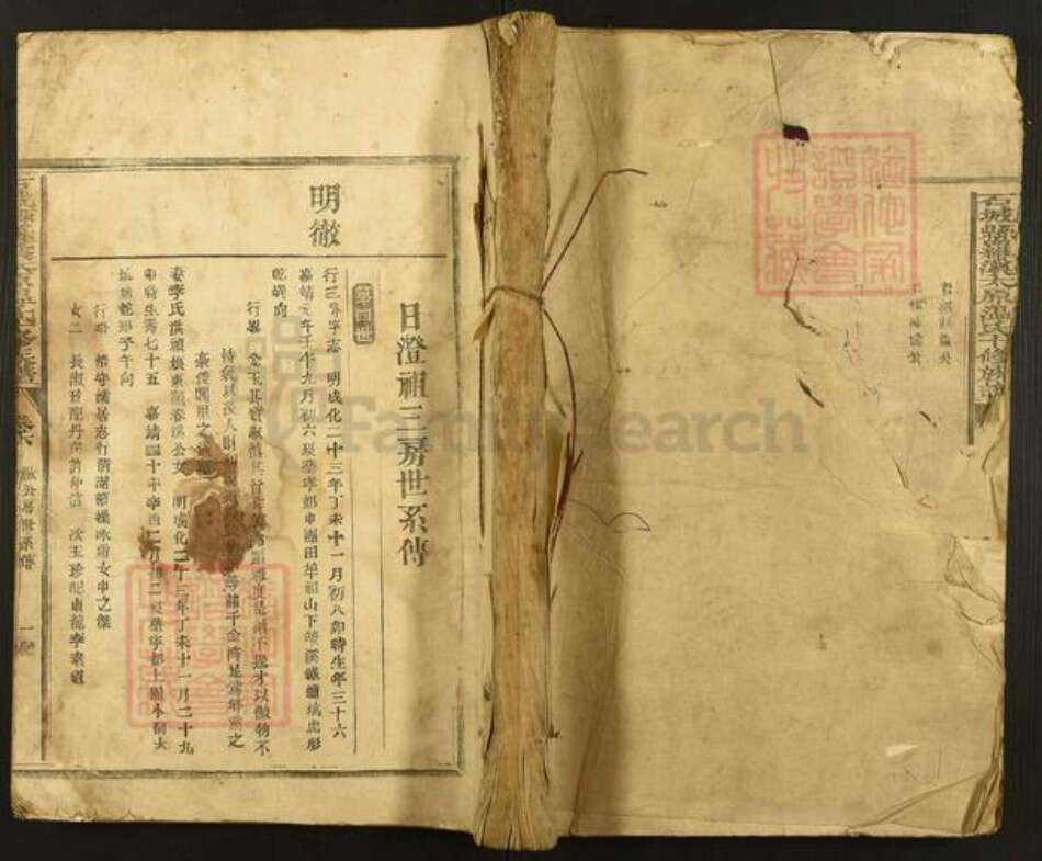 江西省赣州市石城县小松镇温氏族谱-石城县罗溪太原温氏十修族谱.pdf电子版缩略图