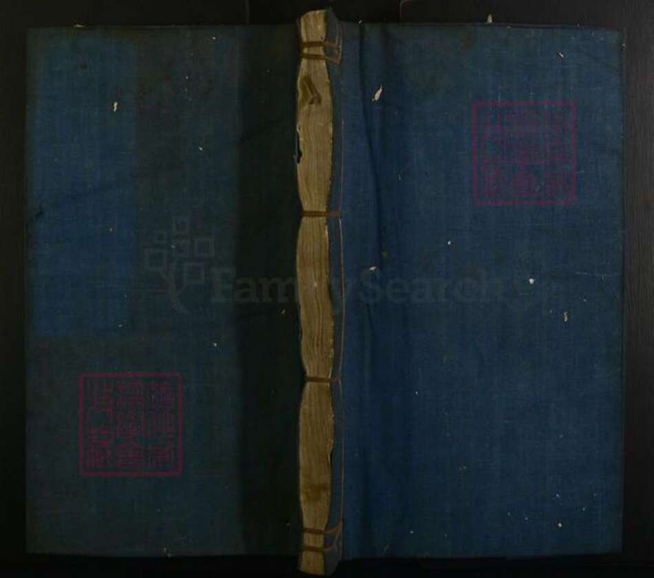 江西省温氏族谱-雩都温氏族谱.pdf电子版缩略图