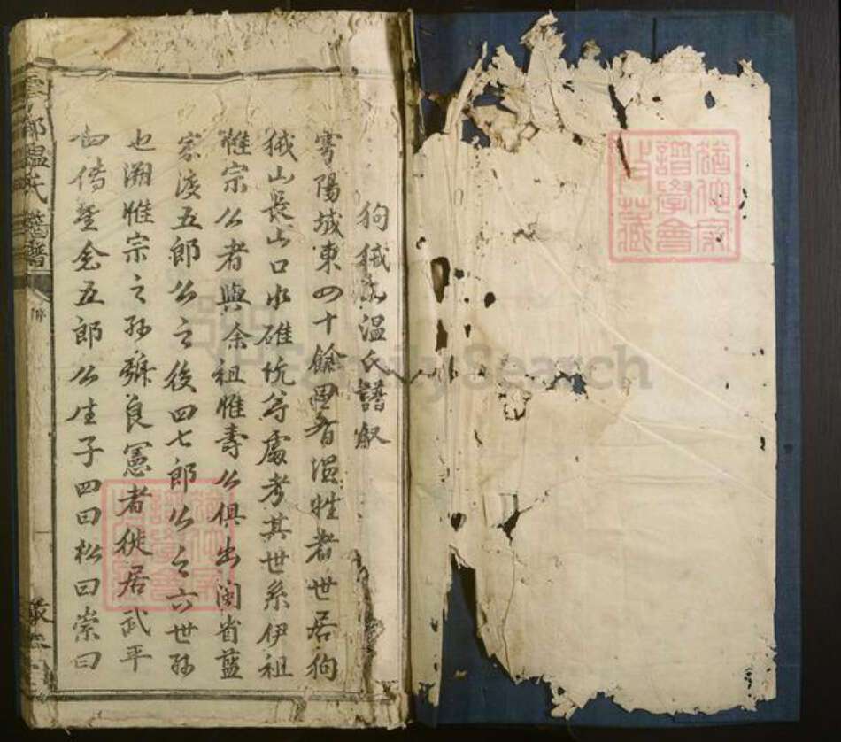 江西省温氏族谱-雩都温氏族谱.pdf电子版预览图1