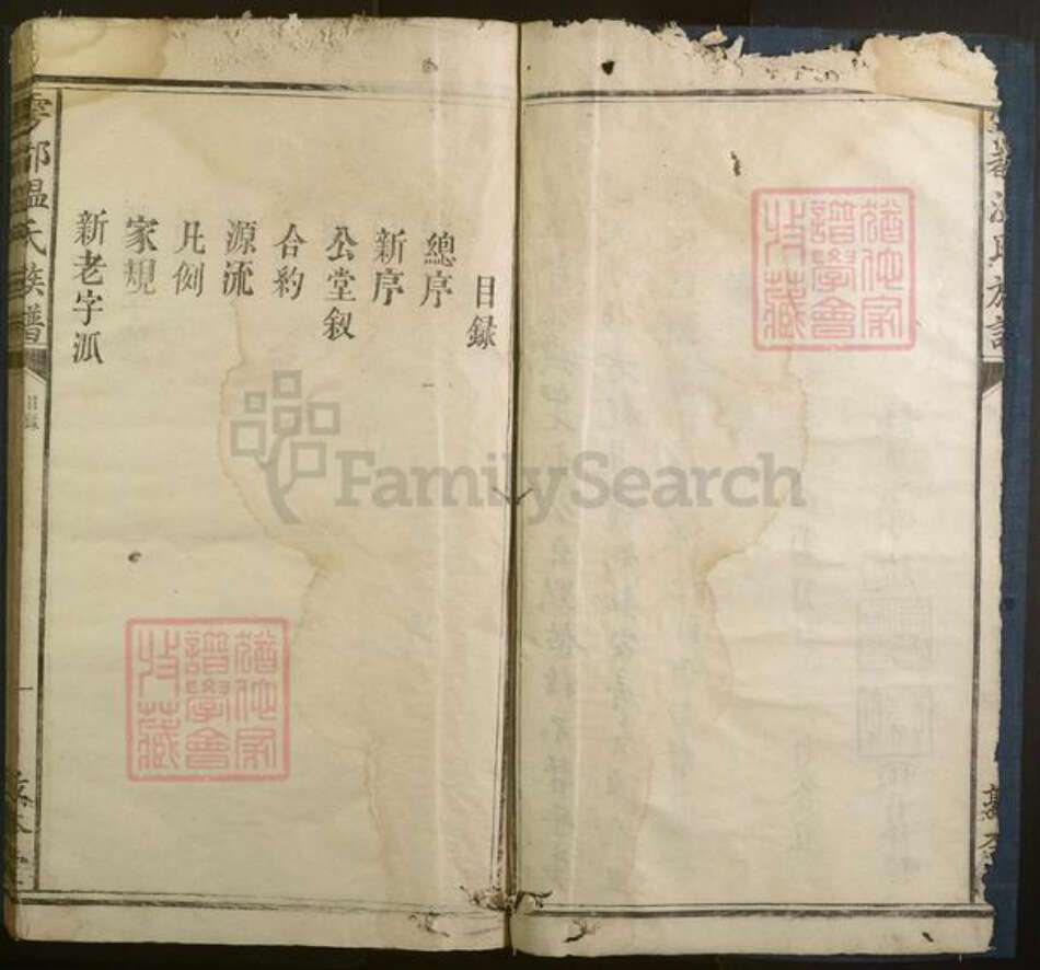 江西省温氏族谱-雩都温氏族谱.pdf电子版预览图4