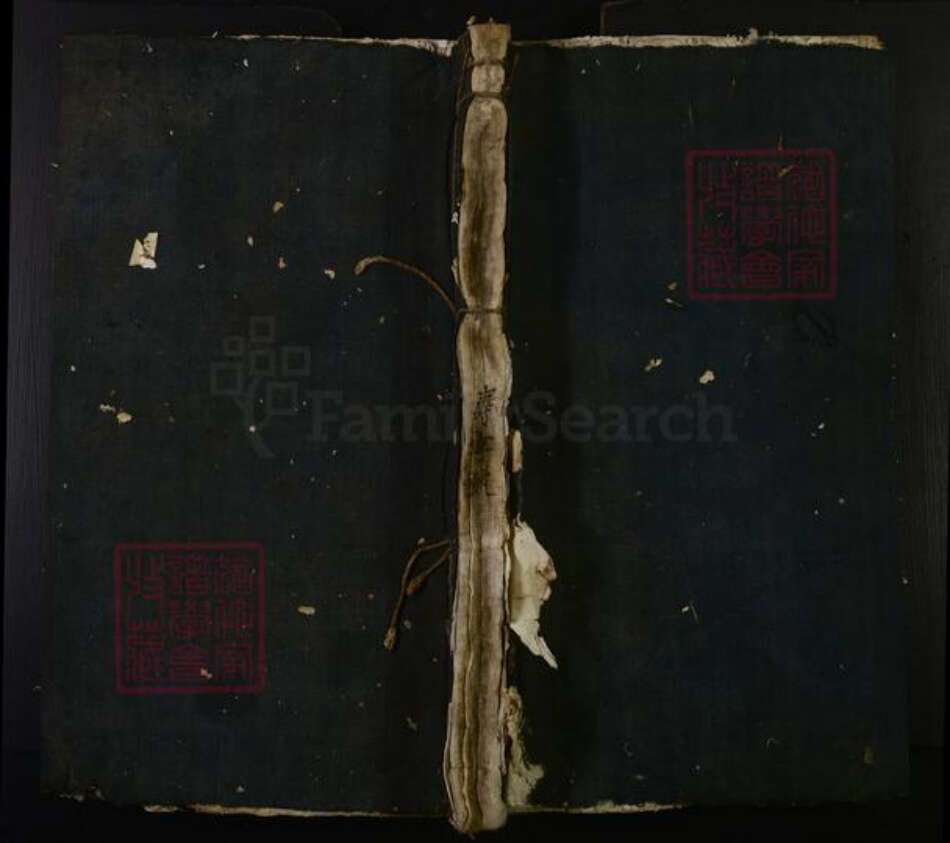 江西省温氏族谱-温氏重修族谱.pdf电子版缩略图