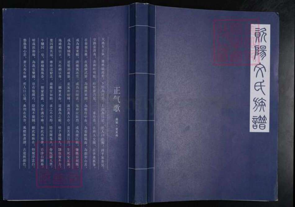 四川省资阳市雁江区文氏族谱-资阳文氏族谱.pdf电子版缩略图