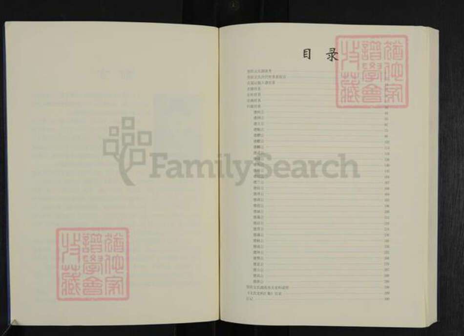 四川省资阳市雁江区文氏族谱-资阳文氏族谱.pdf电子版预览图2