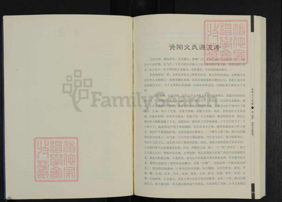 四川省资阳市雁江区文氏族谱-资阳文氏族谱.pdf电子版预览图3