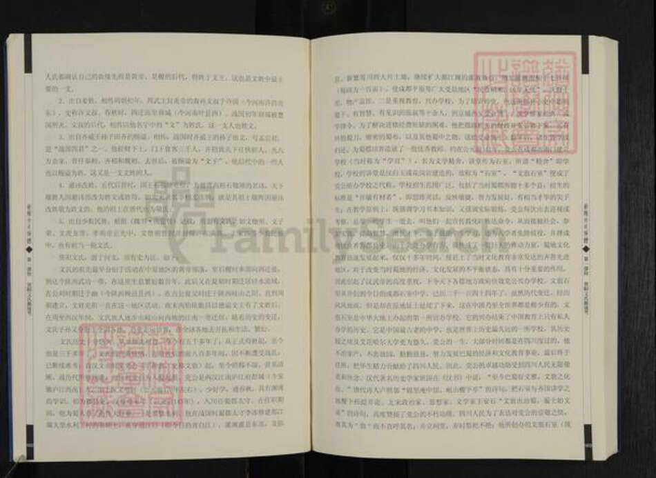 四川省资阳市雁江区文氏族谱-资阳文氏族谱.pdf电子版预览图4