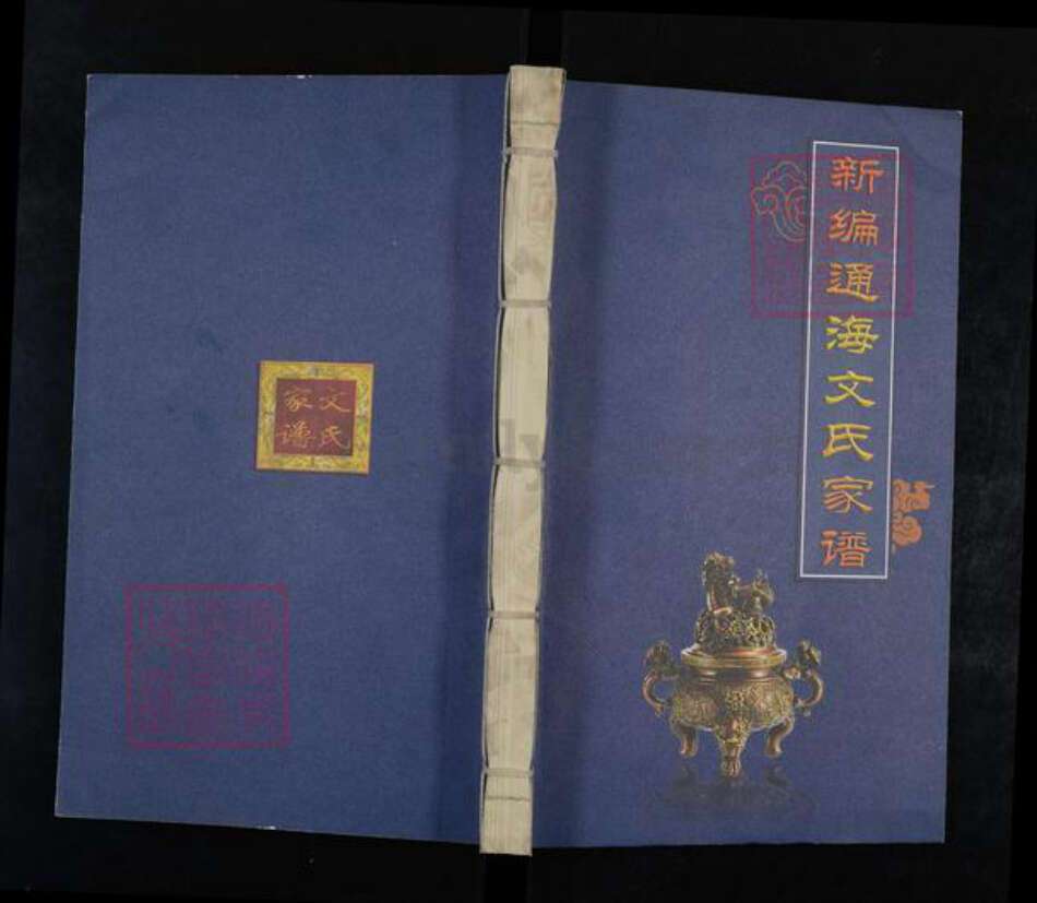 云南省玉溪市通海县文氏族谱-新编通海文氏家谱.pdf电子版缩略图