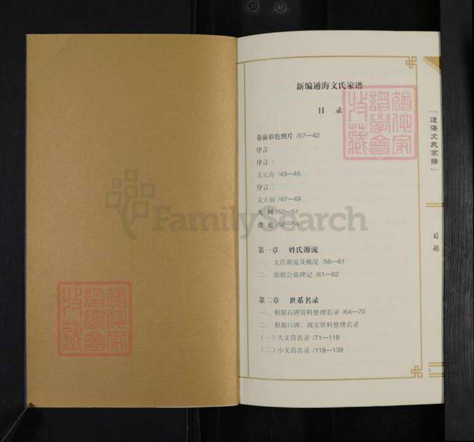 云南省玉溪市通海县文氏族谱-新编通海文氏家谱.pdf电子版预览图2