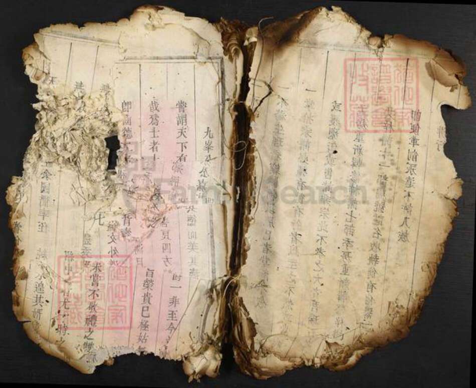 福建省莆田市翁氏族谱-翁氏族谱.pdf电子版缩略图