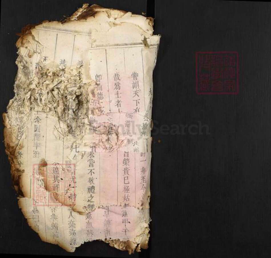 福建省莆田市翁氏族谱-翁氏族谱.pdf电子版预览图1