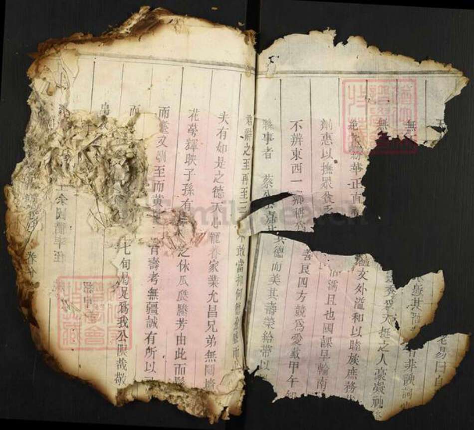 福建省莆田市翁氏族谱-翁氏族谱.pdf电子版预览图2