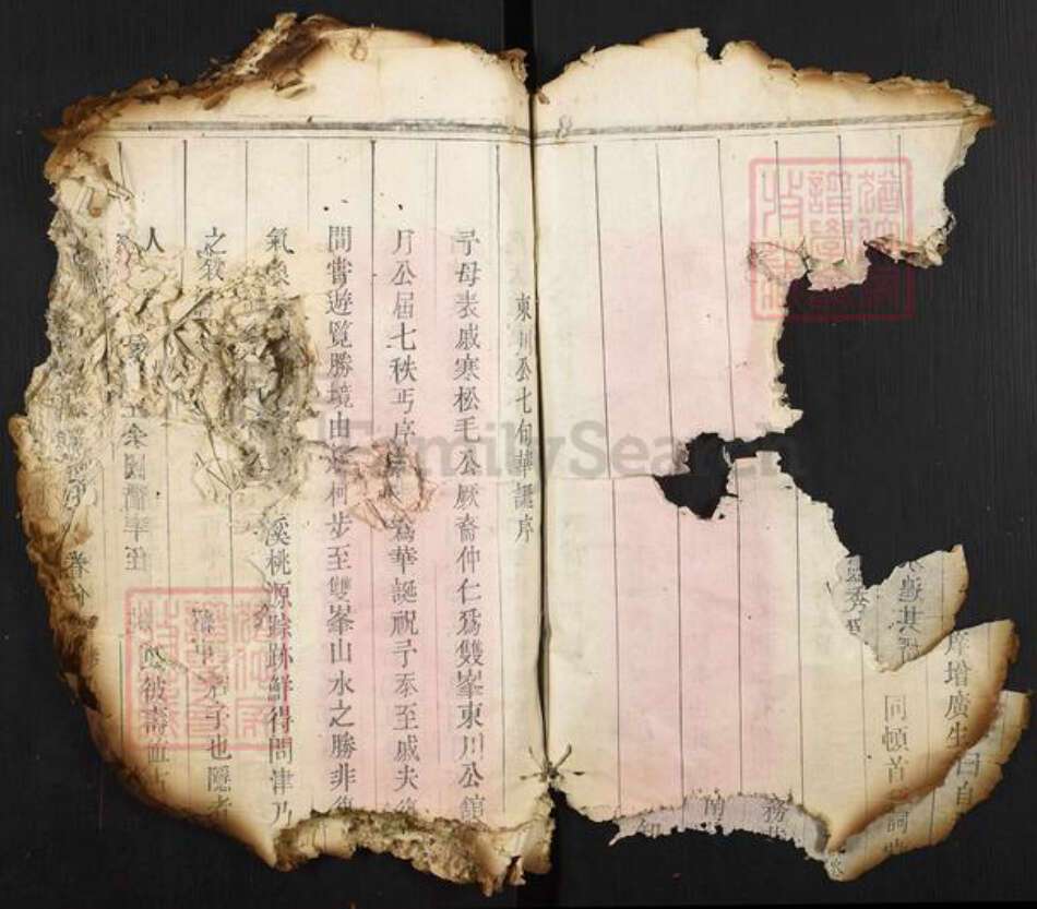 福建省莆田市翁氏族谱-翁氏族谱.pdf电子版预览图3