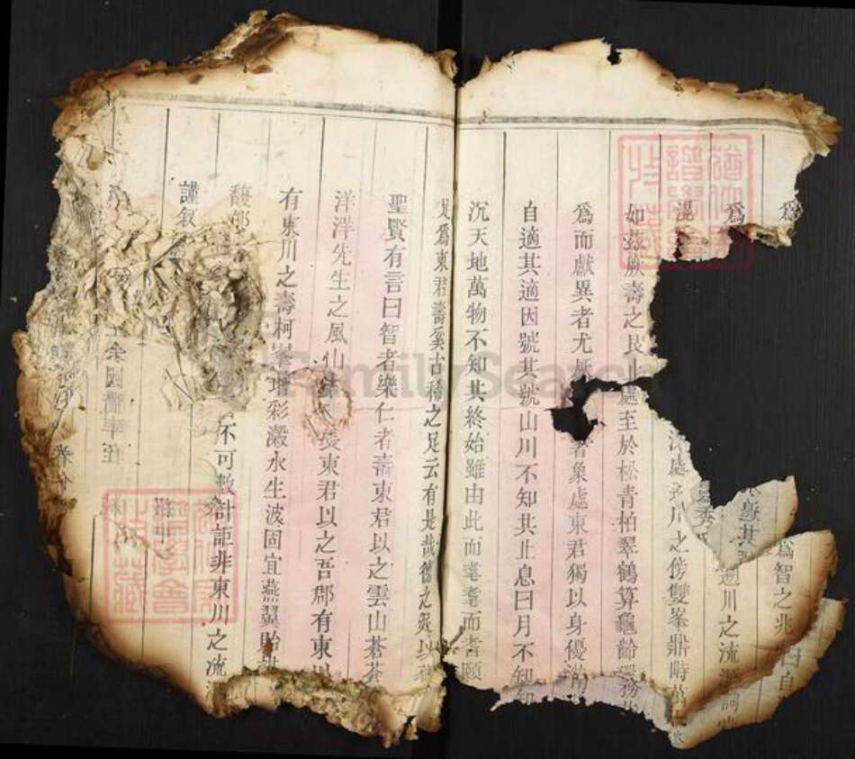 福建省莆田市翁氏族谱-翁氏族谱.pdf电子版预览图4