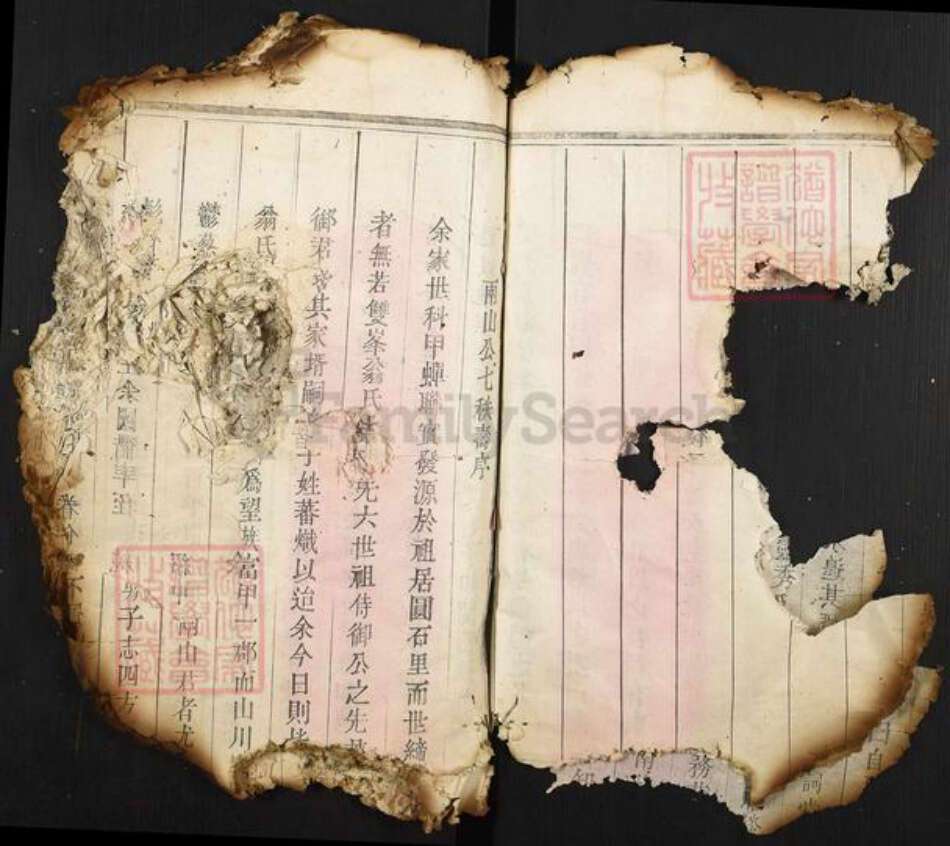 福建省莆田市翁氏族谱-翁氏族谱.pdf电子版预览图5