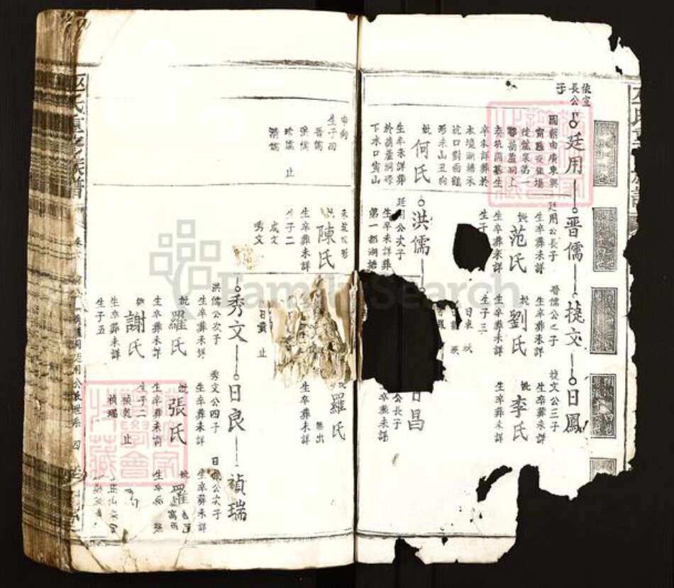 江西省吉安市遂川县泉江镇巫氏平阳堂族谱-巫氏重修族谱.pdf电子版预览图2