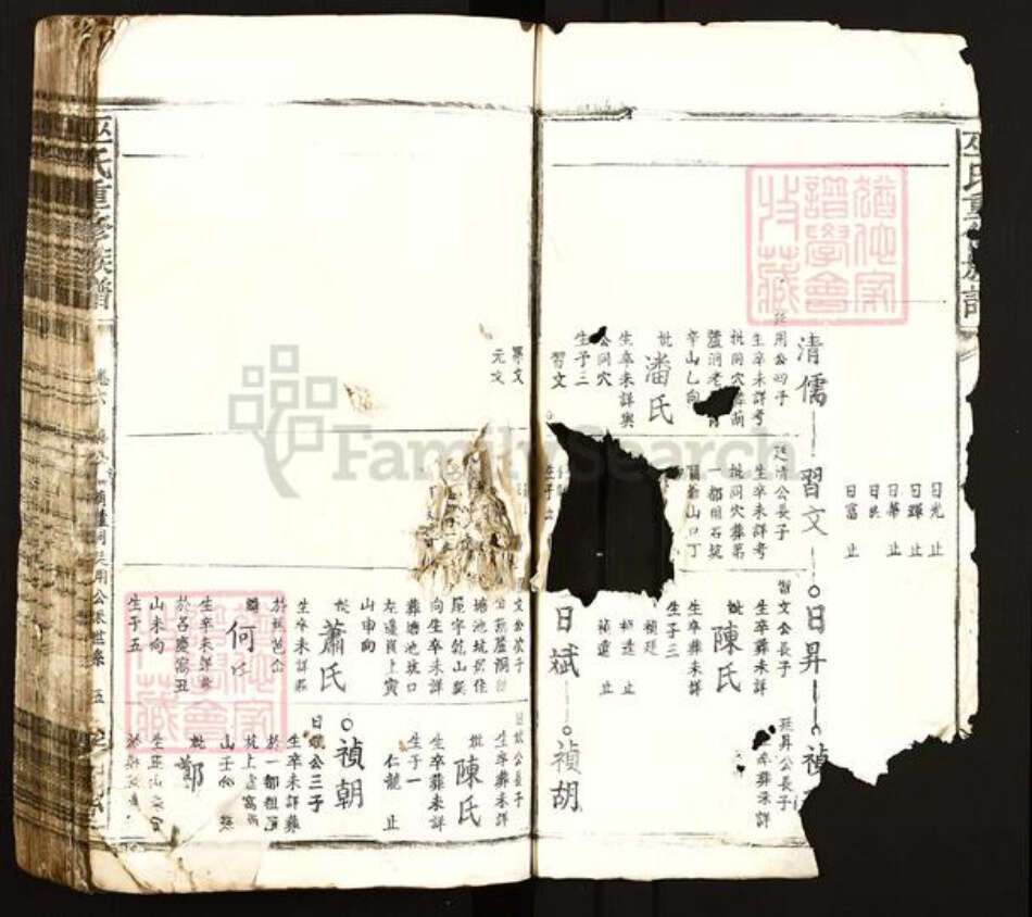 江西省吉安市遂川县泉江镇巫氏平阳堂族谱-巫氏重修族谱.pdf电子版预览图3