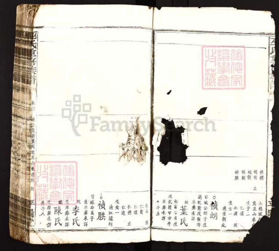 江西省吉安市遂川县泉江镇巫氏平阳堂族谱-巫氏重修族谱.pdf电子版预览图4
