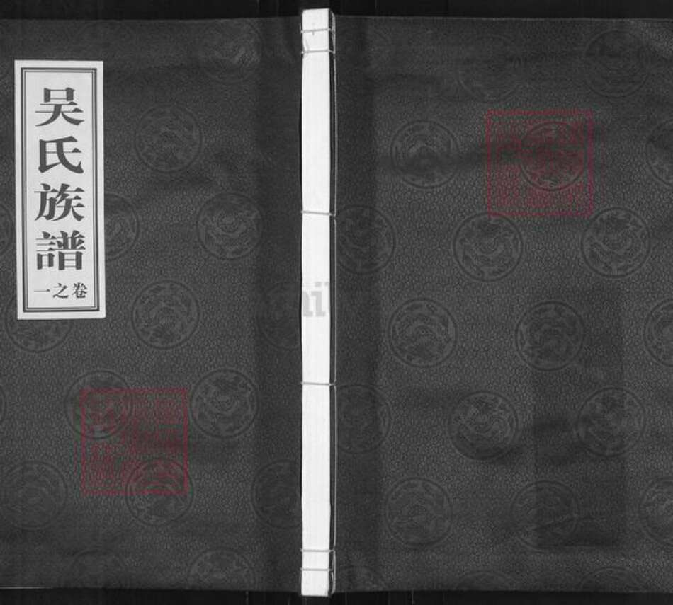 安徽省合肥市巢湖市庙岗乡吴氏至德堂族谱-吴氏族谱.pdf电子版缩略图