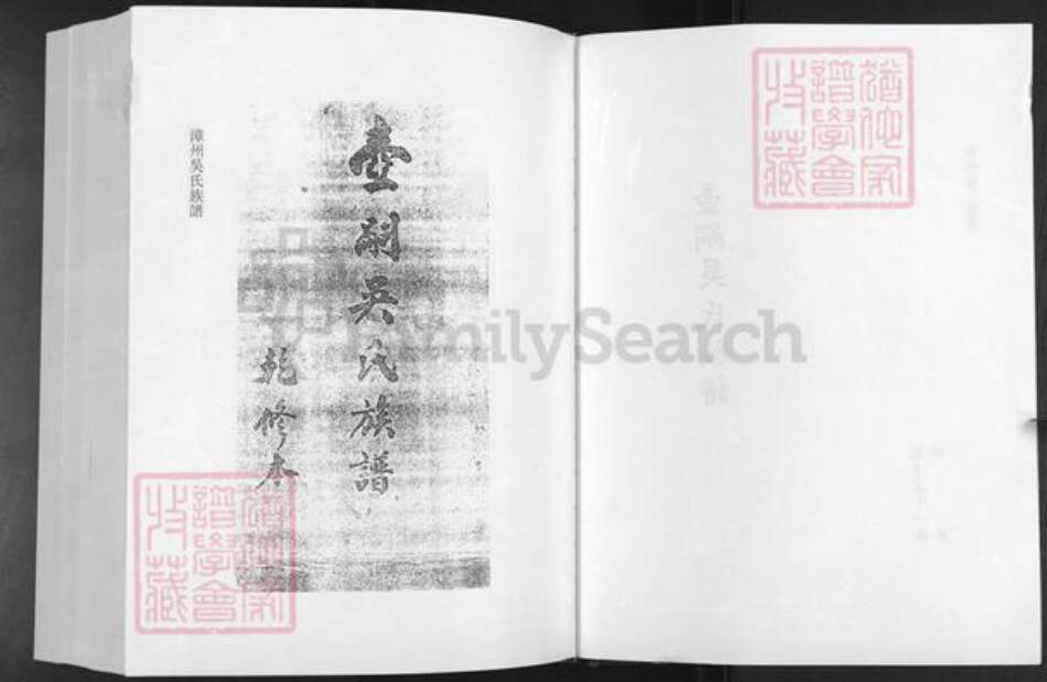 福建省漳州市漳浦县吴氏族谱-漳州吴氏族谱.pdf电子版预览图2