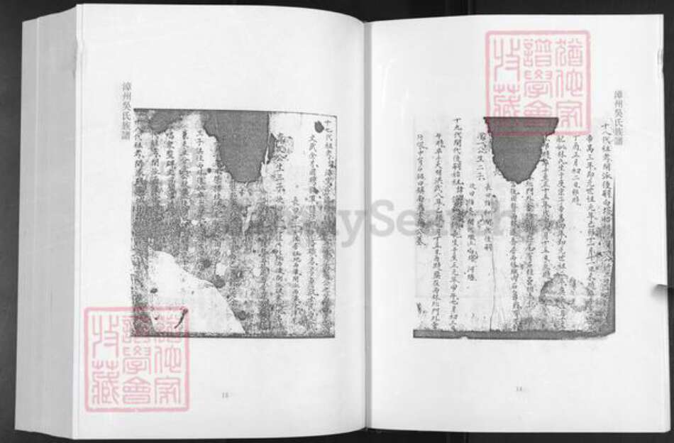 福建省漳州市漳浦县吴氏族谱-漳州吴氏族谱.pdf电子版预览图5