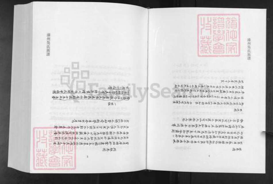 福建省漳州市南靖县吴氏族谱-漳州吴氏族谱.pdf电子版预览图2