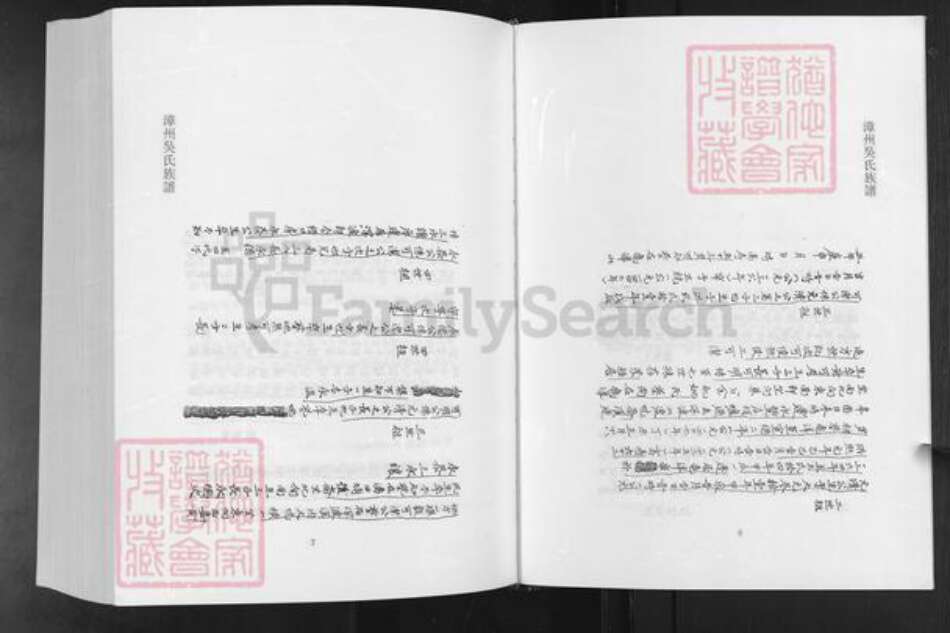 福建省漳州市南靖县吴氏族谱-漳州吴氏族谱.pdf电子版预览图3