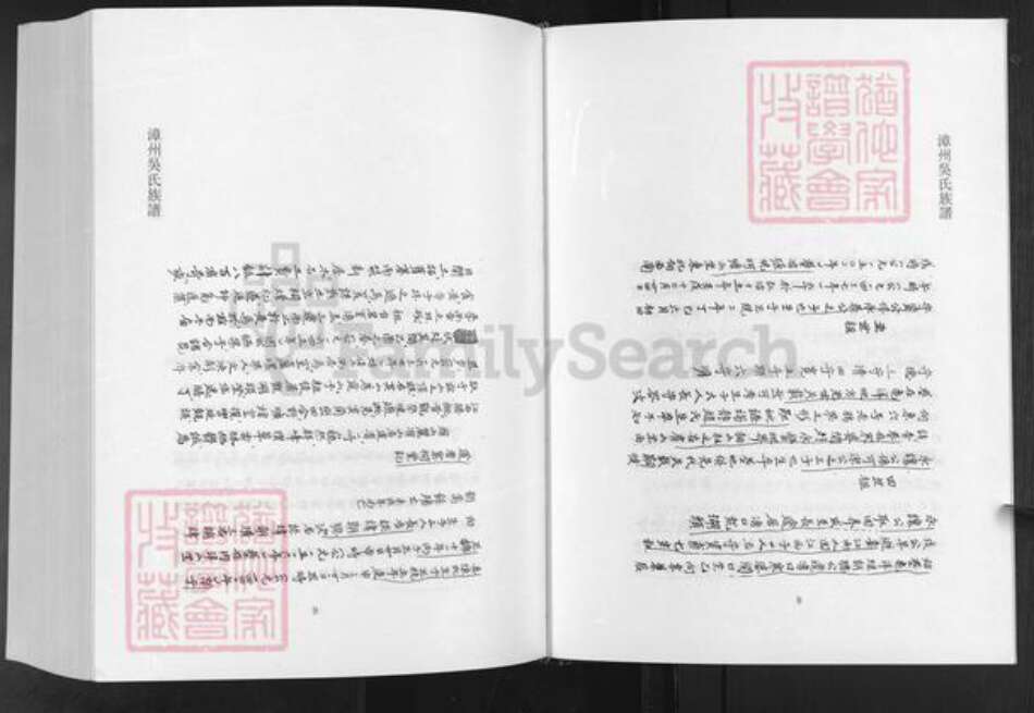 福建省漳州市南靖县吴氏族谱-漳州吴氏族谱.pdf电子版预览图4