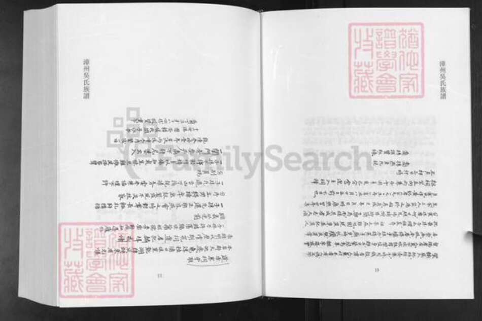 福建省漳州市南靖县吴氏族谱-漳州吴氏族谱.pdf电子版预览图5