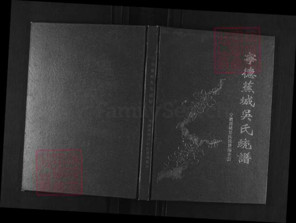 福建省宁德市蕉城区吴氏族谱-宁德蕉城吴氏统谱.pdf电子版缩略图