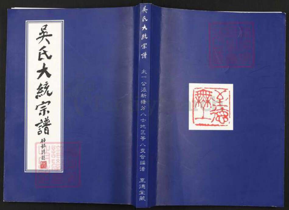 江苏省无锡市锡山区锡北镇吴氏至德堂族谱-吴氏大统宗谱.pdf电子版缩略图